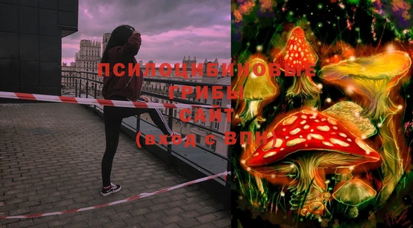 PSILOCYBIN Алзамай
