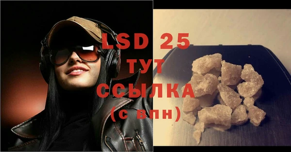 PSILOCYBIN Алзамай