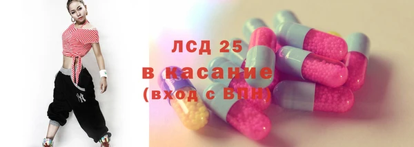 PSILOCYBIN Алзамай