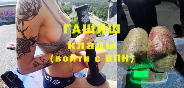 PSILOCYBIN Алзамай