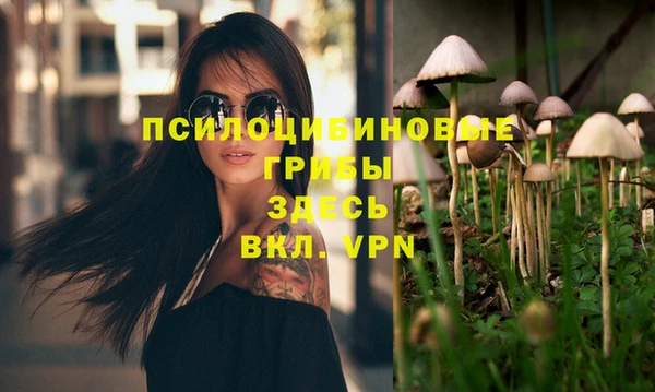 тгк Михайлов