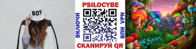 купить наркоту  Протвино  omg ТОР  Галлюциногенные грибы MAGIC MUSHROOMS 